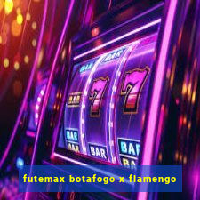 futemax botafogo x flamengo